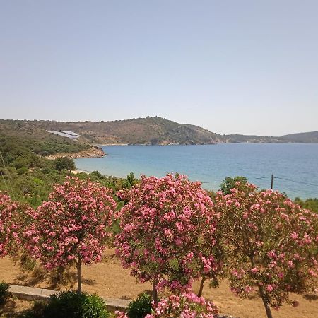 Skoutari Beach Hotel Eksteriør billede