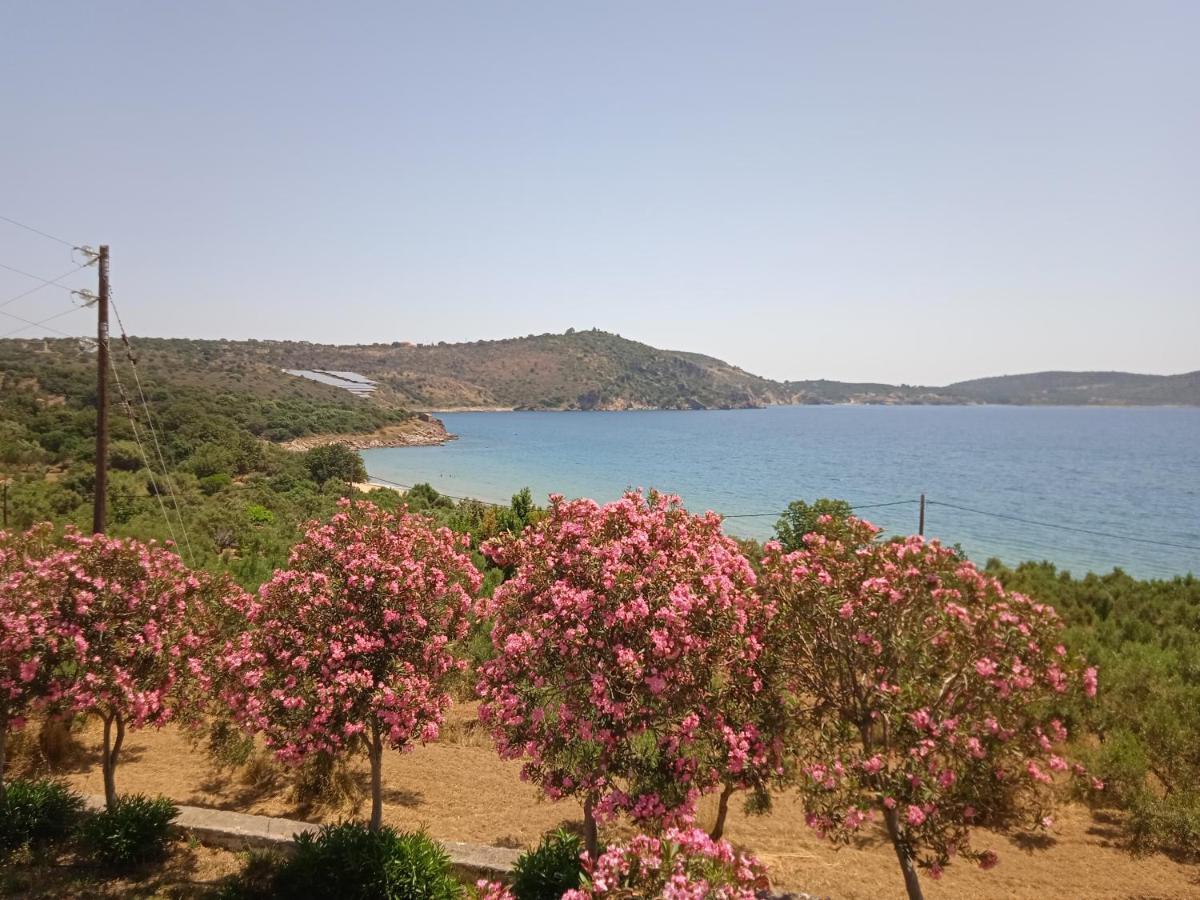 Skoutari Beach Hotel Eksteriør billede